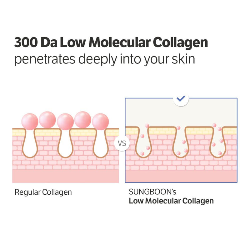 SUNGBOON EDITOR Deep Collagen Power Boosting Cream In Serum