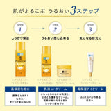 Rohto Hada Labo Gokujyun Premium Hyaluronic Acid Emulsion