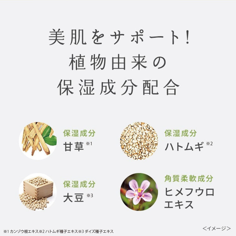 pdc Wafood Made Matcha Enzyme Face Wash Powder