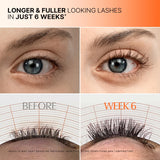 lilyeve Grow Turn Exosome Dual Lash Serum