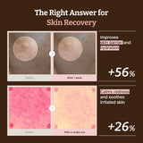 Dr. Reju-All REJUALL Advanced PDRN Rejuvenating Cream 20ml